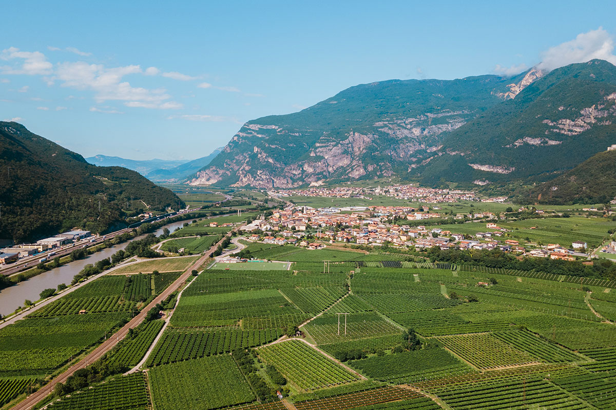 Estate Vallagarina 2023 - Luca Matassoni WEB