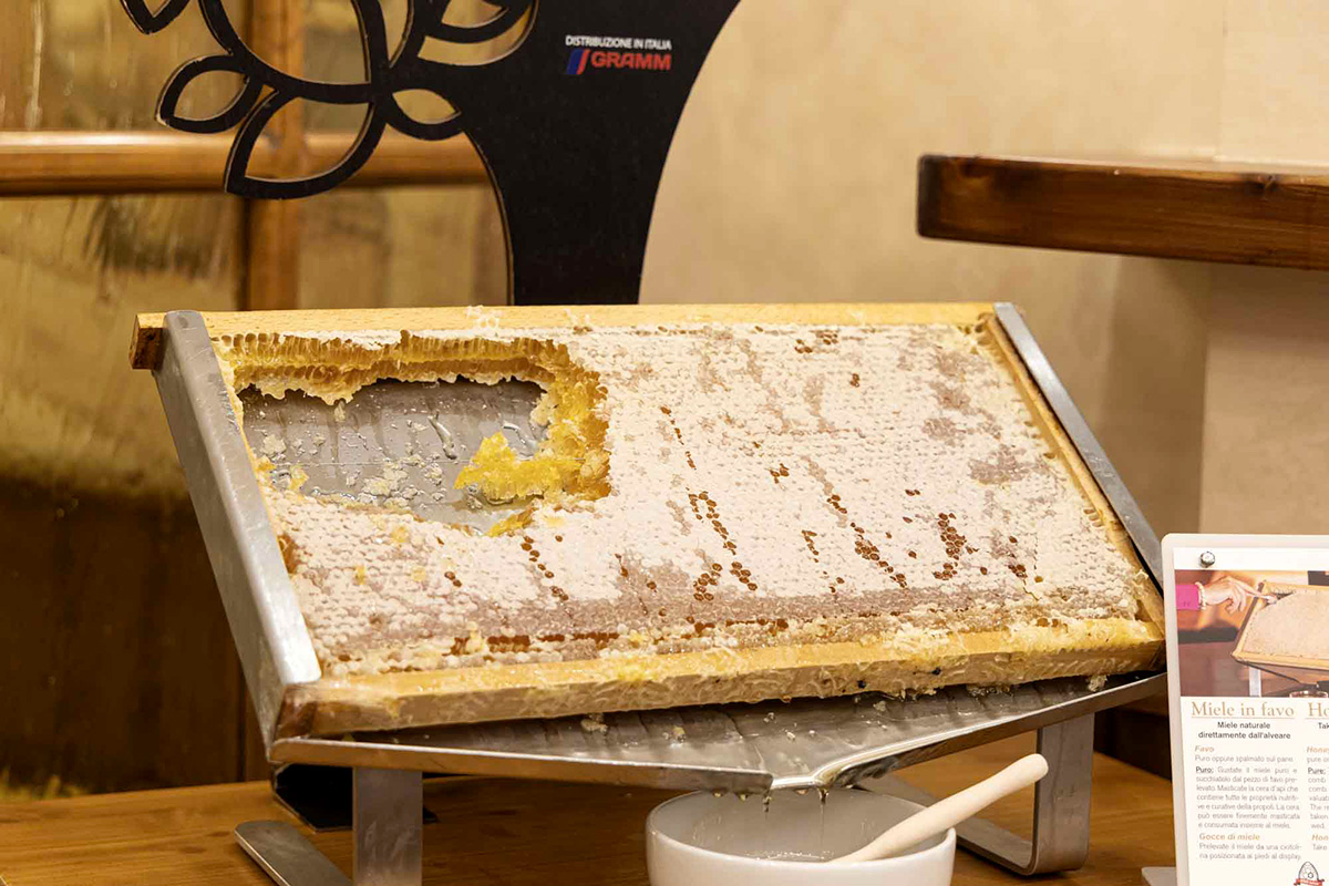 grand-hotel-del-alpes-28