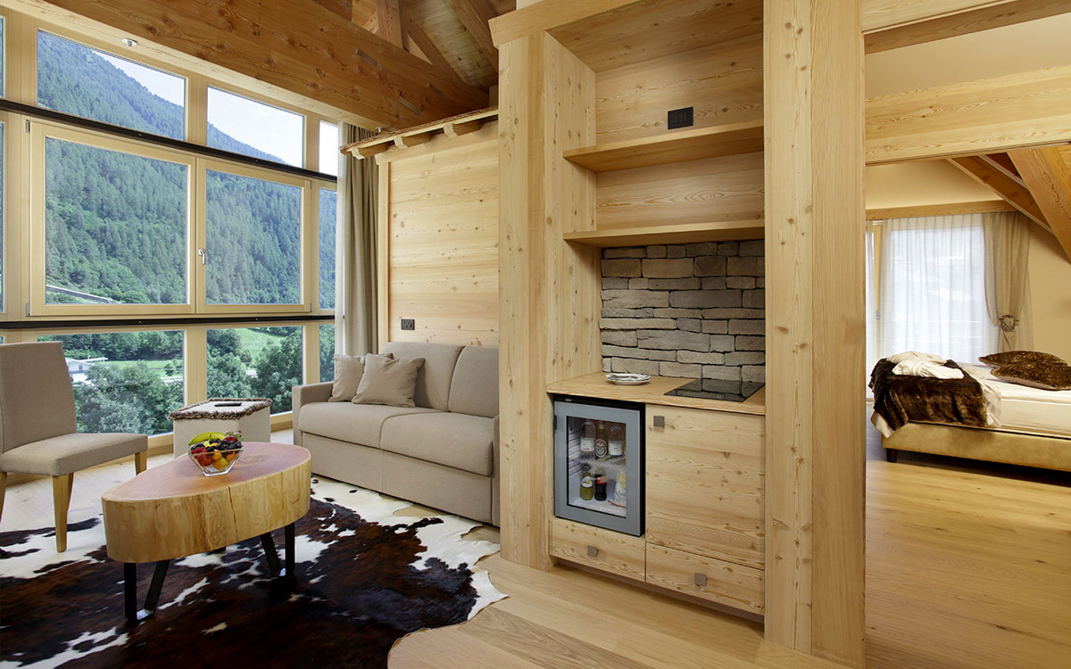 hotel tevini-commezzadura briani president (3)